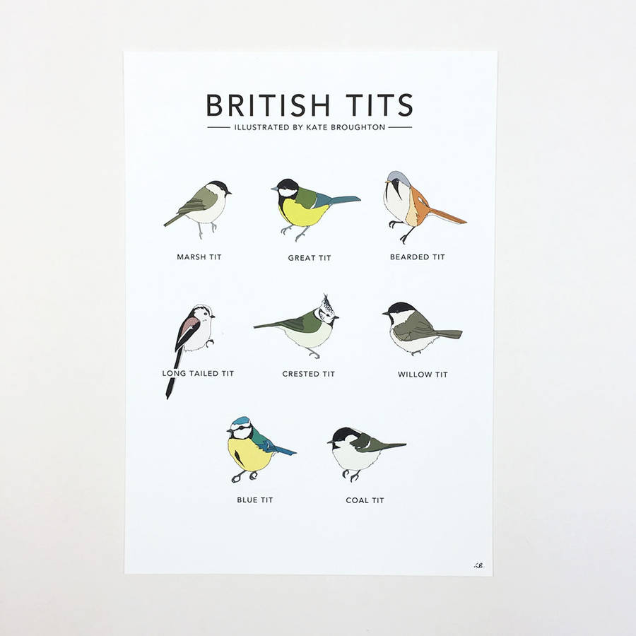 British Tits Print By Kate Broughton 