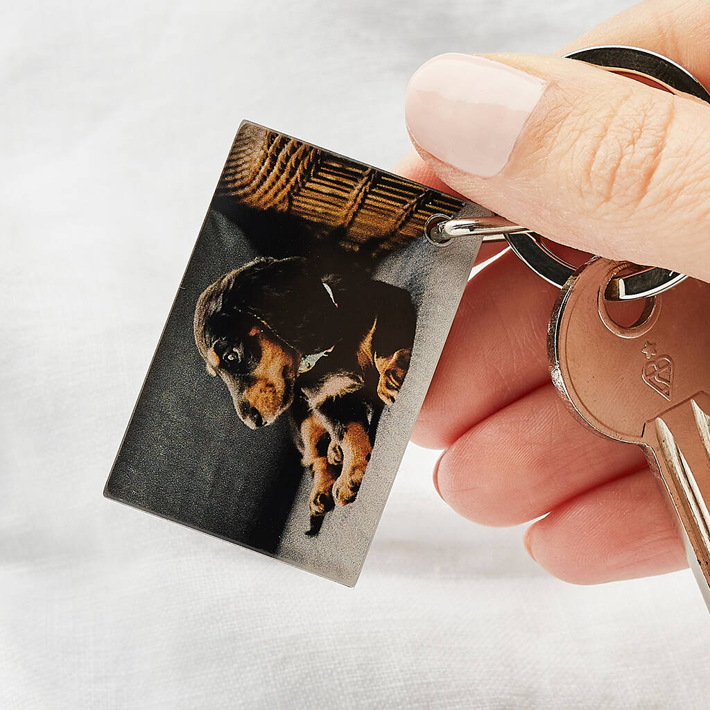 Image of Personalised Acrylic And Wood Photo Keyring Pets