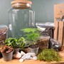 Large Diy Terrarium Kit With Plants Gift For Plant Lover Christmas Gift, thumbnail 10 of 11