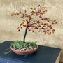 Autumn Bonsai Tree Beaded Craft Kit, thumbnail 1 of 5