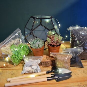Black Geometric Terrarium Kit With Succulent, 7 of 11