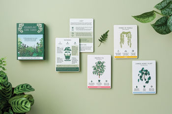 Houseplant Care Cards, 2 of 3