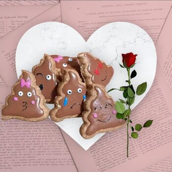 Valentine's Homemade Dog Treat Gift Iced Biscuit, 7 of 8