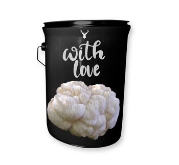 “With Love” Lion’s Mane Mushroom Grow Kit, 4 of 4