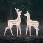 Plug In LED Reindeer Xl Stag And Doe Christmas Figures, thumbnail 3 of 6