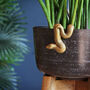 Gold Snake Pot Hanger, thumbnail 1 of 2