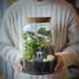 Large Diy Terrarium Kit With Plants Gift For Plant Lover Gift, thumbnail 1 of 11