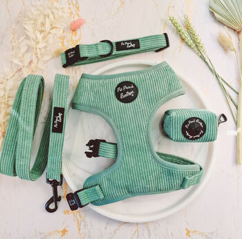 Sage Green Cord Dog Harness, 6 of 8