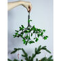 Hanging Organic Felt Mistletoe Decoration, thumbnail 1 of 6
