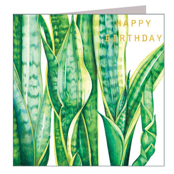 Gold Foiled Mother In Law's Tongue Birthday Card, 2 of 4