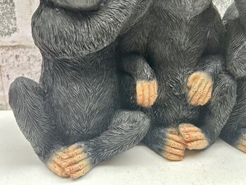 See, Hear, Speak No Evil Monkeys Figurine Ornament, 7 of 12