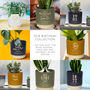 Personalised 30th Birthday Indoor Plant Pot, thumbnail 6 of 6