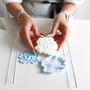 Blooming Rose Biscuit Baking And Decorating Starter Kit, thumbnail 5 of 9