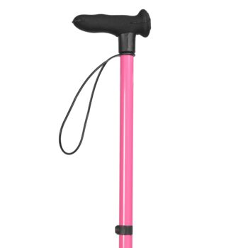Pink Walking Stick, 3 of 7