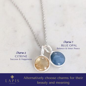 The 'VIP' Friends And Family Birthstone Necklace, Silver, 3 of 12