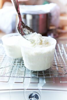 Wallace And Gromit Mozzarella And Ricotta Cheese Making Kit, 4 of 12