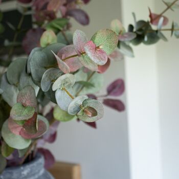 Faux Burgundy And Blush Eucalyptus Arrangement, 2 of 3