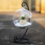 Hanging Glass Bauble Terrarium With Metal Holder, thumbnail 3 of 5
