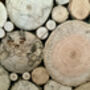 Driftwood Mosaic, thumbnail 2 of 3