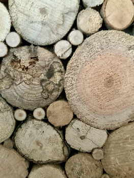 Driftwood Mosaic, 2 of 3