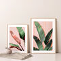Pink And Green Banana Leaves Art Print, thumbnail 3 of 8