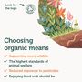 Ausha Organic Moringa Leaf Powder 500g Immunity Energy, thumbnail 10 of 11