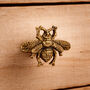 Set Of Two Vintage Golden Finish Bee Drawer Pulls, thumbnail 1 of 2