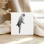 Parrot Hand Drawn Greeting Card, thumbnail 3 of 6