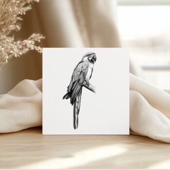 Parrot Hand Drawn Greeting Card, 3 of 6