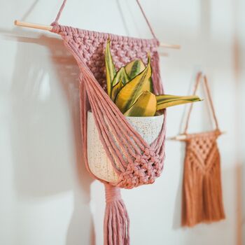 D.I.Y. Macrame Wall Plant Hanger Kit, 4 of 8