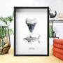 Real Megalodon Shark Tooth Fossil And Illustration, thumbnail 1 of 3