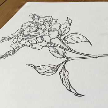 Hand Illustrated Rose Flower Print, 3 of 8