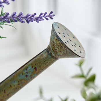 Lavender In Watering Can, 5 of 5