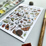 Garden Insects Of Britain Watercolour Postcard, thumbnail 11 of 12