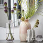 Hedria Woodrose Pink Column Vase, thumbnail 1 of 6