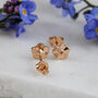 Tiny Forget Me Not Gold Vermeil Studs, thumbnail 6 of 12