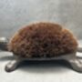 Cast Iron Tortoise Boot Scraper – Shoe Brush, thumbnail 10 of 12