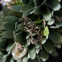 Personalised Stockbridge Floral Autumn Wreath, thumbnail 5 of 5