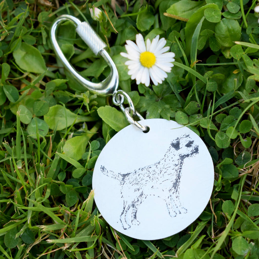 Image of Silver Border Terrier Keyring
