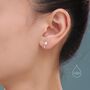 Extra Tiny Seed Pod Stud Earrings In Sterling Silver, thumbnail 7 of 12