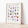 The A To Z Of Garden Flowers Print, thumbnail 3 of 6