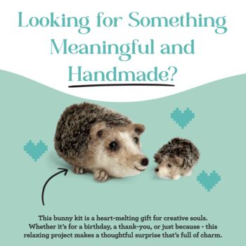 Happy Hedgehog Needle Felting Craft Kit, 4 of 9