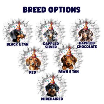 Personalised Dachshund Birthday Break Through Dog, 2 of 9