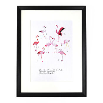 Flamboyance Of Flamingos Art Print, 2 of 7