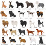 Personalised Valentine's Dog Breed Card Sent Direct, thumbnail 10 of 12