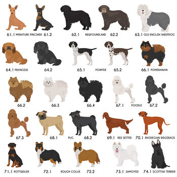 Personalised Valentine's Dog Breed Card Sent Direct, 10 of 12