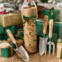 Set Of Three Garden Tools And Storage Tube, thumbnail 1 of 7