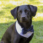 Dog Bow Tie Wedding Bandana, thumbnail 7 of 11