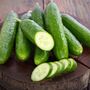 Vegetable Plants Cucumber 'Femspot' 5x Plants 9cm Pots, thumbnail 9 of 11