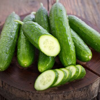 Vegetable Plants Cucumber 'Femspot' 5x Plants 9cm Pots, 9 of 11